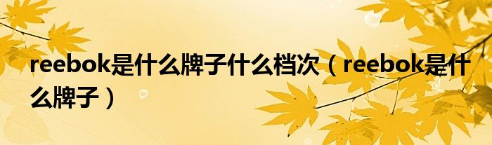 reebok是什么牌子什么档次(reebok是什么牌子)
