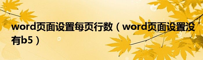 word页面设置每页行数(word页面设置没有b5)