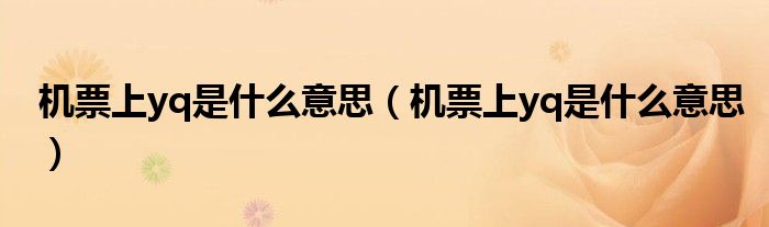 机票上yq是什么意思(机票上yq是什么意思)