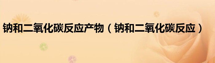 钠和二氧化碳反应产物(钠和二氧化碳反应)