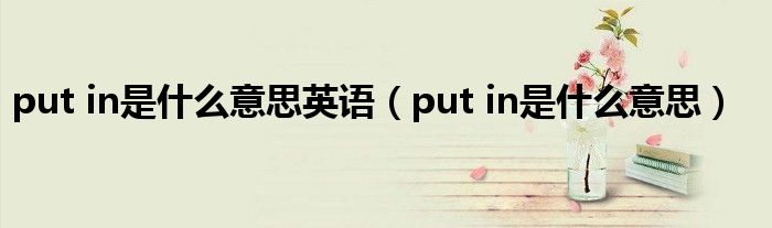 put in是什么意思英语(put in是什么意思)