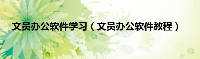 文员办公软件学习(文员办公软件教程)
