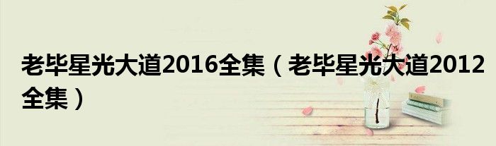 老毕星光大道2016全集(老毕星光大道2012全集)