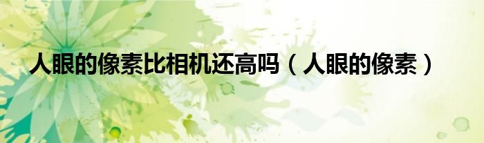 人眼的像素比相机还高吗(人眼的像素)