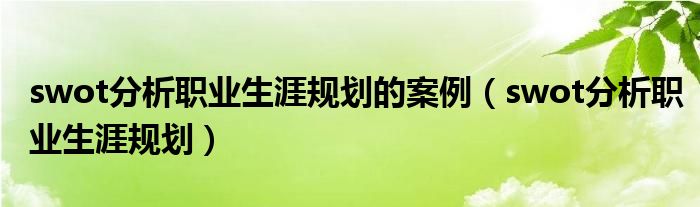 swot分析职业生涯规划的案例(swot分析职业生涯规划)