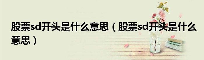 股票sd开头是什么意思(股票sd开头是什么意思)