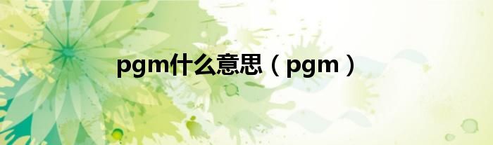 pgm什么意思(pgm)