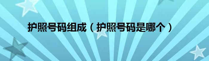 护照号码组成(护照号码是哪个)