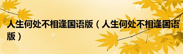 人生何处不相逢国语版(人生何处不相逢国语版)
