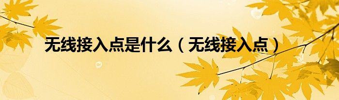 无线接入点是什么(无线接入点)