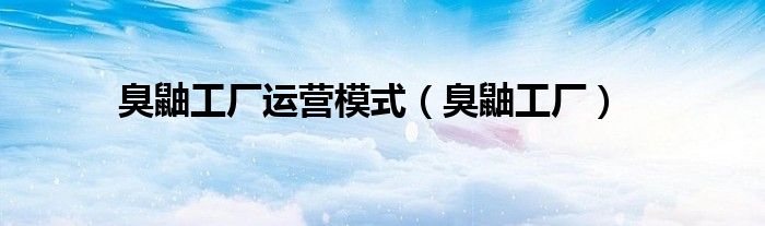臭鼬工厂运营模式(臭鼬工厂)