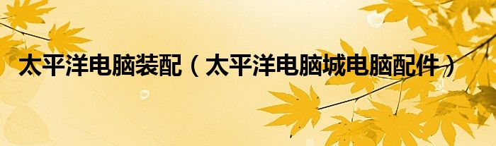 太平洋电脑装配(太平洋电脑城电脑配件)