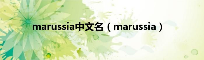 marussia中文名(marussia)