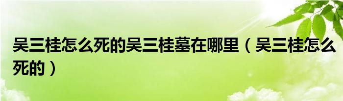 吴三桂怎么死的吴三桂墓在哪里(吴三桂怎么死的)
