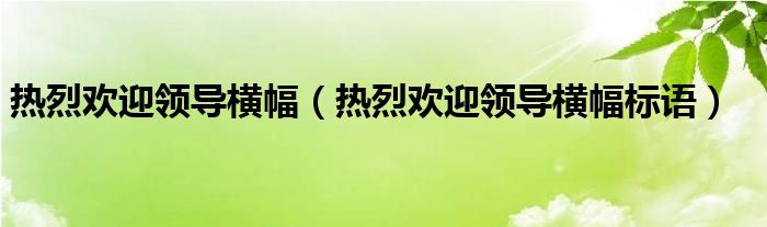 热烈欢迎领导横幅(热烈欢迎领导横幅标语)