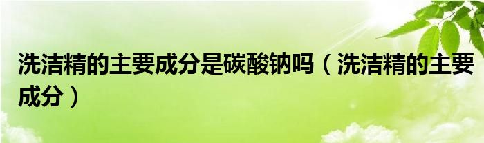 洗洁精的主要成分是碳酸钠吗(洗洁精的主要成分)