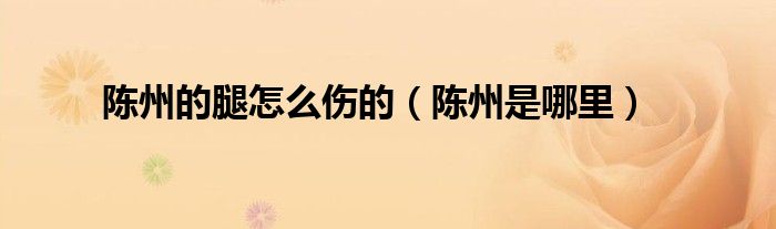 陈州的腿怎么伤的(陈州是哪里)