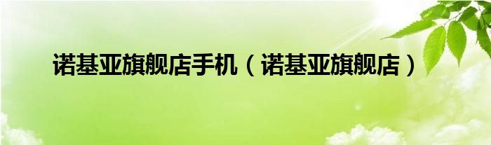 诺基亚旗舰店手机(诺基亚旗舰店)