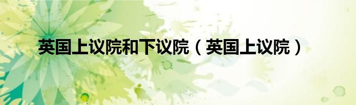 英国上议院和下议院(英国上议院)