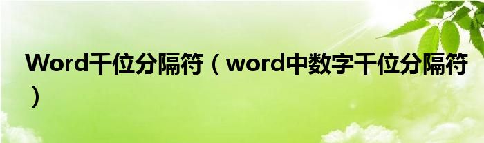 Word千位分隔符(word中数字千位分隔符)