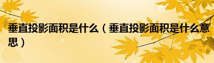 垂直投影面积是什么(垂直投影面积是什么意思)
