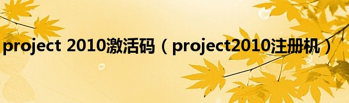 project 2010激活码(project2010注册机)