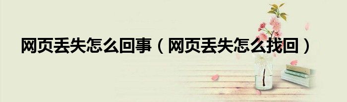 网页丢失怎么回事(网页丢失怎么找回)