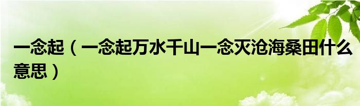 一念起(一念起万水千山一念灭沧海桑田什么意思)