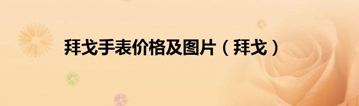 拜戈手表价格及图片(拜戈)