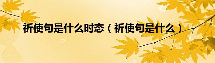 祈使句是什么时态(祈使句是什么)
