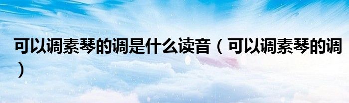 可以调素琴的调是什么读音(可以调素琴的调)