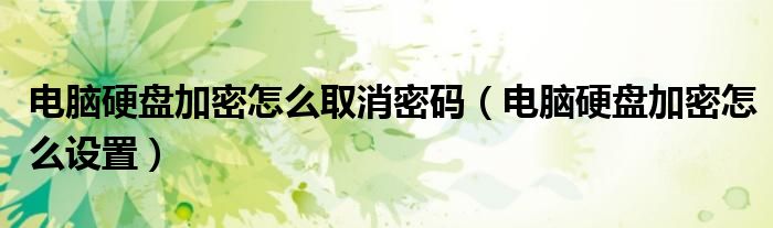 电脑硬盘加密怎么取消密码(电脑硬盘加密怎么设置)