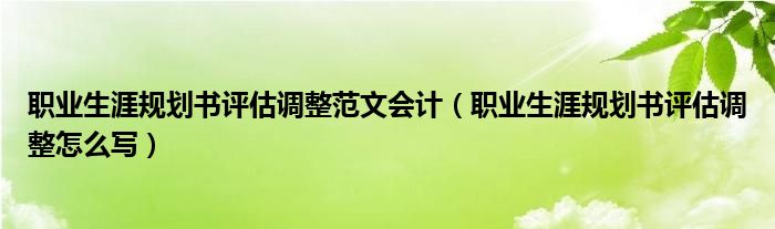职业生涯规划书评估调整范文会计(职业生涯规划书评估调整怎么写)