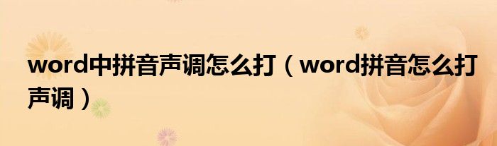 word中拼音声调怎么打(word拼音怎么打声调)