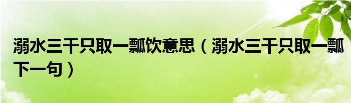 溺水三千只取一瓢饮意思(溺水三千只取一瓢下一句)