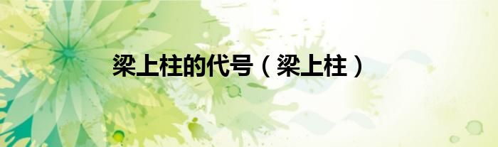 梁上柱的代号（梁上柱）