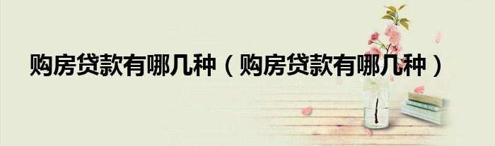 购房贷款有哪几种(购房贷款有哪几种)