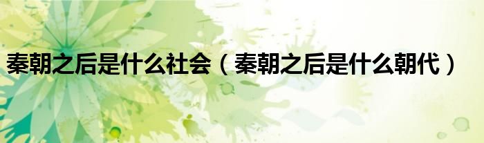 秦朝之后是什么社会(秦朝之后是什么朝代)