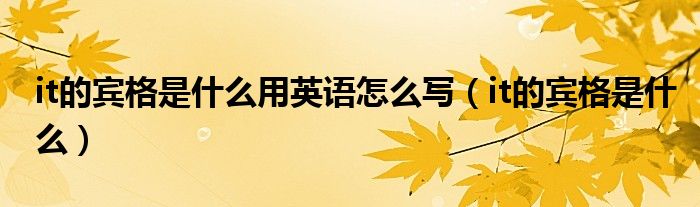 it的宾格是什么用英语怎么写(it的宾格是什么)