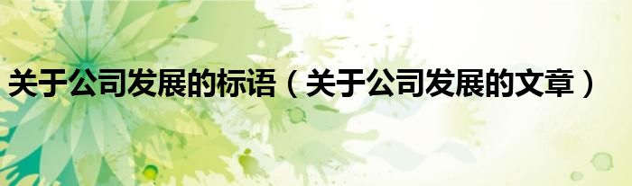 关于公司发展的标语(关于公司发展的文章)