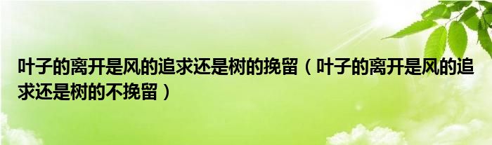 叶子的离开是风的追求还是树的挽留(叶子的离开是风的追求还是树的不挽留)
