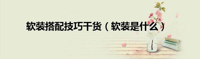 软装搭配技巧干货(软装是什么)