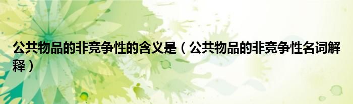 公共物品的非竞争性的含义是(公共物品的非竞争性名词解释)