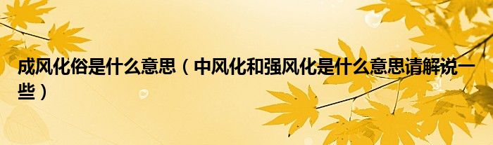 成风化俗是什么意思(中风化和强风化是什么意思请解说一些)