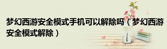 梦幻西游安全模式手机可以解除吗(梦幻西游安全模式解除)