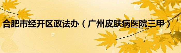 合肥市经开区政法办(广州皮肤病医院三甲)