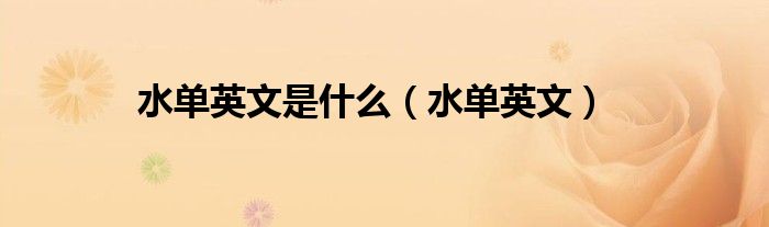 水单英文是什么(水单英文)