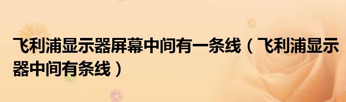 飞利浦显示器屏幕中间有一条线(飞利浦显示器中间有条线)