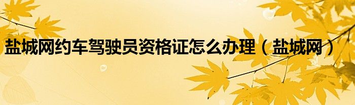盐城网约车驾驶员资格证怎么办理(盐城网)
