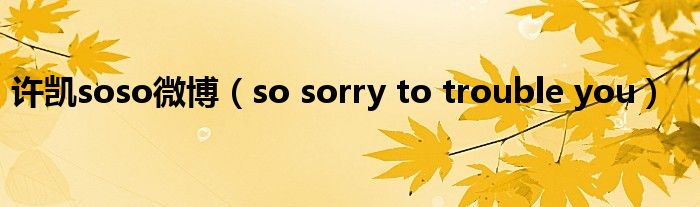 许凯soso微博(so sorry to trouble you)